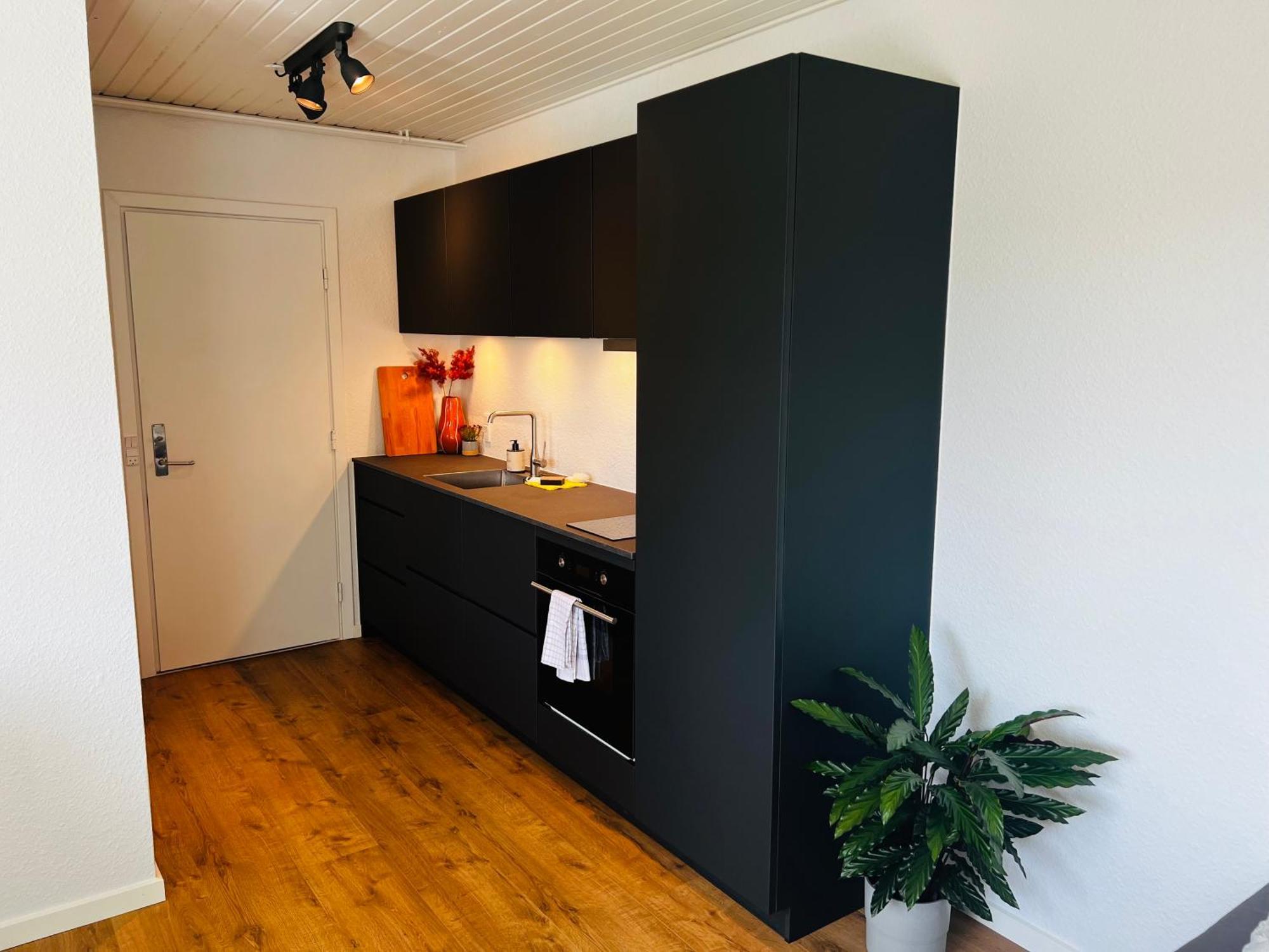 Cozy Flats Silkeborg - 1Th Exterior foto